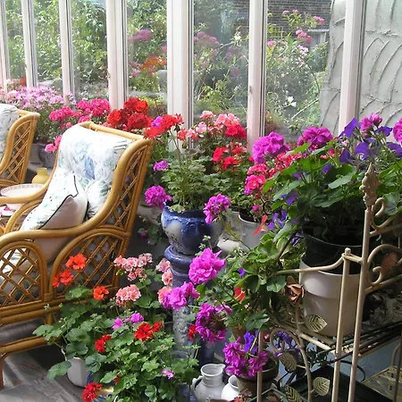 Maison d'hôtes Tall Storeys