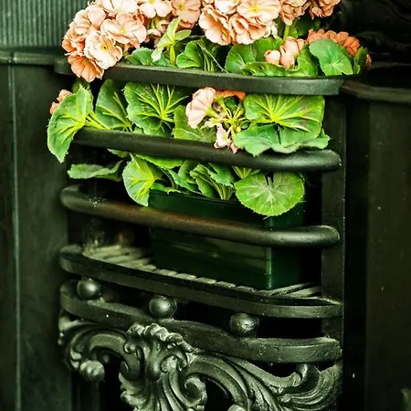 Tall Storeys Guest house 4*