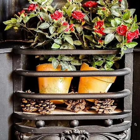 Tall Storeys Maison d'hôtes