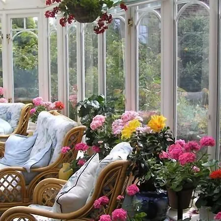 게스트하우스 Tall Storeys