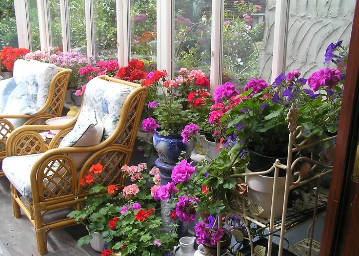 Gasthuis Tall Storeys